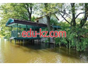 Гостиница - У Князева в Любуже Гостиница У Князева в Любуже - на портале relaxby.su