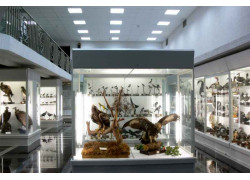 Зоологический музей Белорусского государственного университета