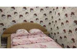 Apartment in Rechytsa