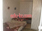 Скрипникова