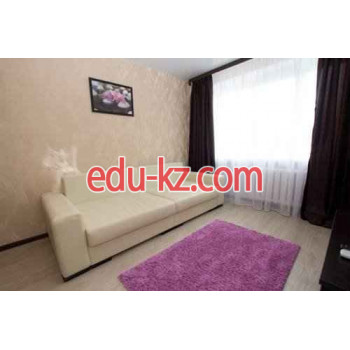 Орхидея Орхидея